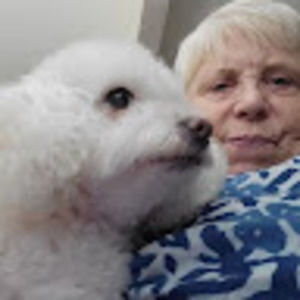 Meet your Posher, Pauline